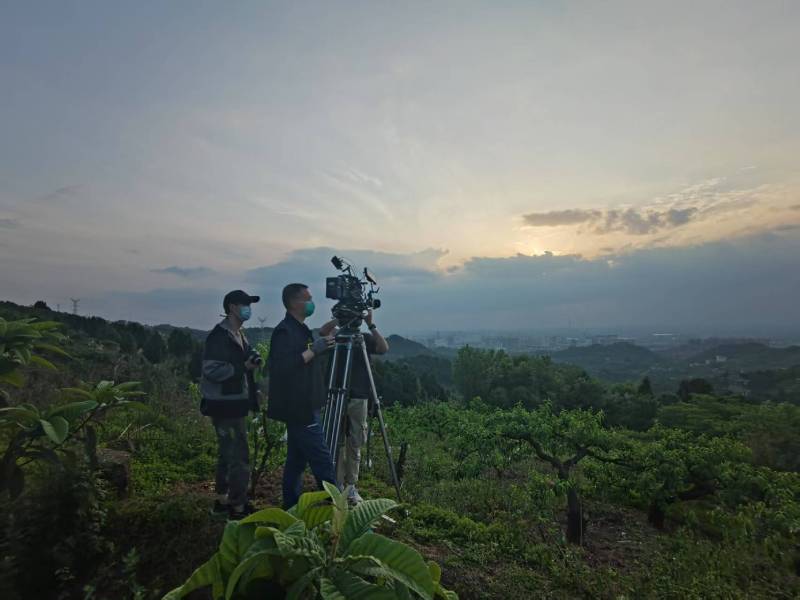创意破圈！句容市电商产品宣传视频用故事化叙事引爆流量