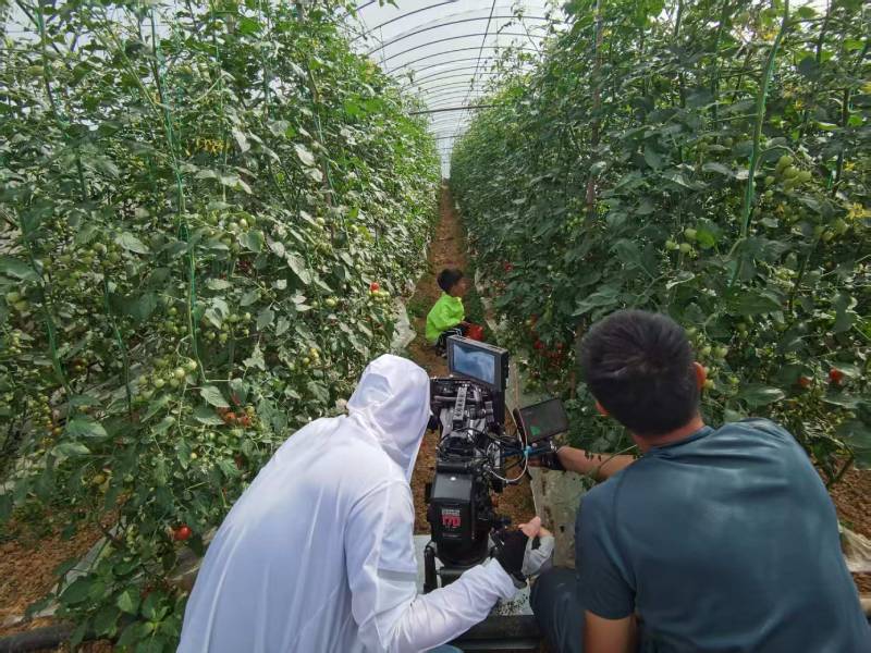 句容市产品宣传视频拍摄公司进阶指南，助力品牌抢占传播高地